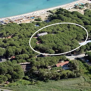 Nettuno Italia